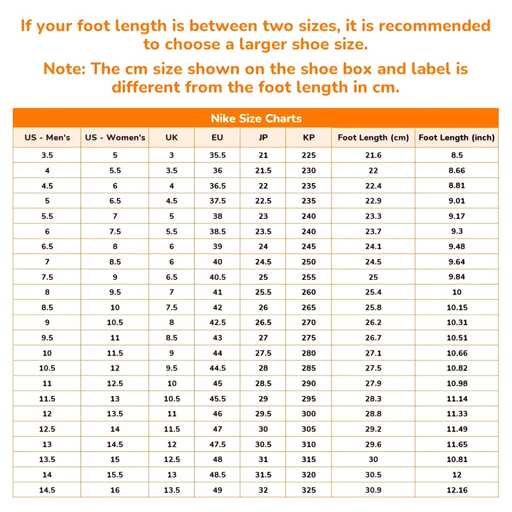 description_selected4